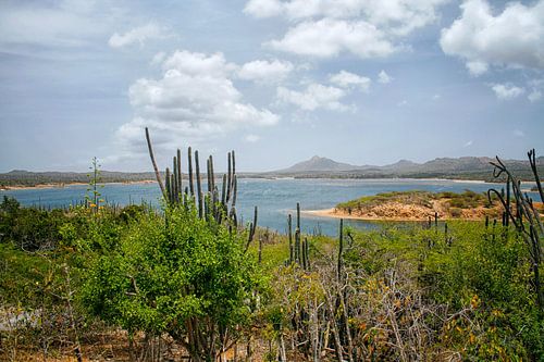 Washington  Slagbaai  op Bonaire 