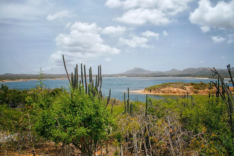 Washington Slagbaai on Bonaire by Patricia Hofmeester
