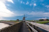 Windmolen op  Texel van Brian Morgan thumbnail