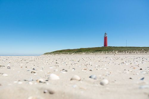 Op het strand vol schelpen bij de vuurtoren van Texel