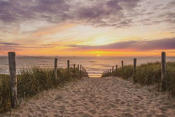 Plage, mer et soleil sur la côte néerlandaise sur Dirk van Egmond