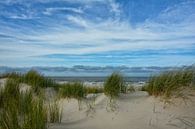 Nederlandse duinen van Joachim G. Pinkawa thumbnail