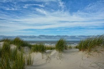 Nederlandse duinen van Joachim G. Pinkawa