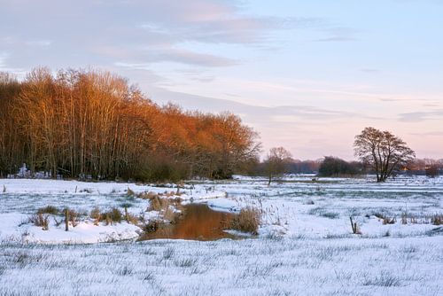 Winters landschap in het Reestdal