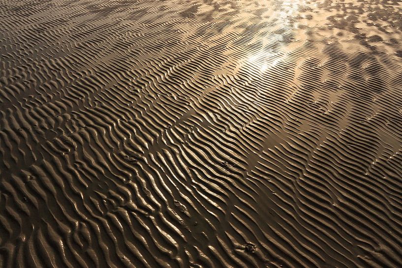 Wrinkles in the beach by Harry Wedzinga