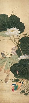 Chen Mei,Lotus en Mandarijn Eend, Chinese Vogels en Bloemen Schi