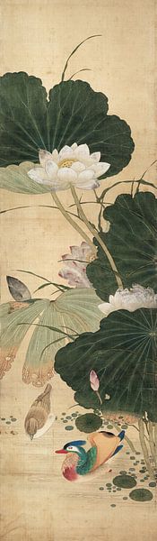 Chen Mei,Lotus et Canard Mandarin, Oiseaux et Fleurs Chinois Schi par finemasterpiece
