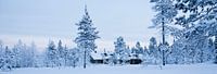 winter leven