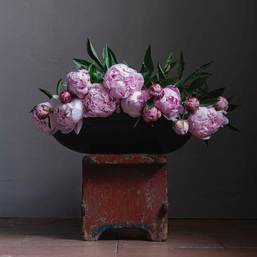 Peonies in earthenware bowl [square]