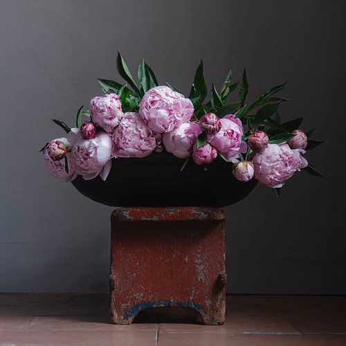 Pivoines dans un bol en terre cuite [carré] sur Affect Fotografie