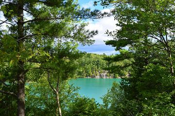 Uitzicht op Pink Lake in Gatineau Park, Ontario van Studio LE-gals