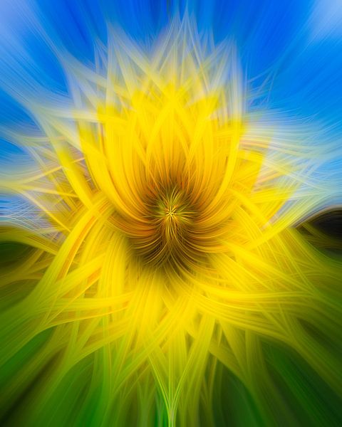 Sunflower abstract by Steffen Peters