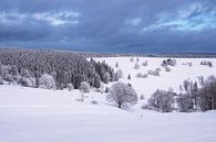 Winterlandschap in het Thüringer Woud van Rico Ködder thumbnail