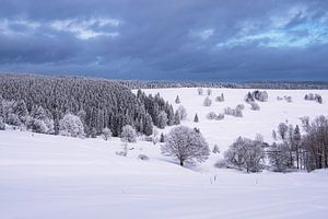 Landschaft im Winter im Thüringer Wald