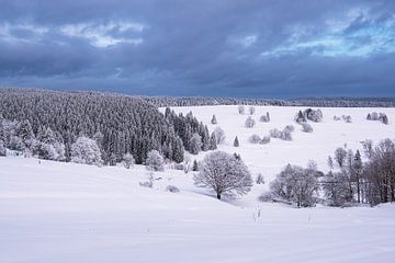 Paysage en hiver dans la forêt de Thuringe sur Rico Ködder
