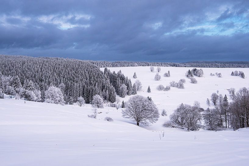 Winterlandschap in het Thüringer Woud van Rico Ködder