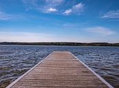 Bootssteg an einem See an der Mecklenburgische Seenplatte von Animaflora PicsStock Miniaturansicht