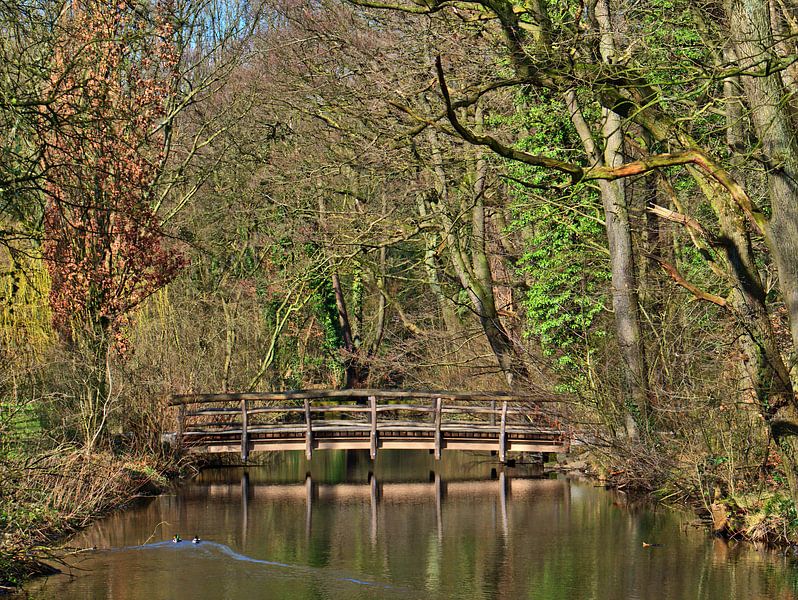 houten brug van Edgar Schermaul