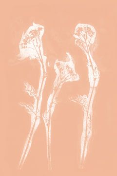 Witte bloemen in retrostijl. Moderne botanische kunst in licht terracotta of roze zalmco van Dina Dankers