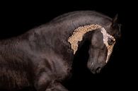 Fries paard met bladgoud van Kim van Beveren thumbnail