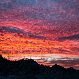 De Rode Lucht van Kaikoura van Marieke de Lange