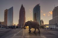 Elefant am Potsdamer Platz von Salke Hartung Miniaturansicht