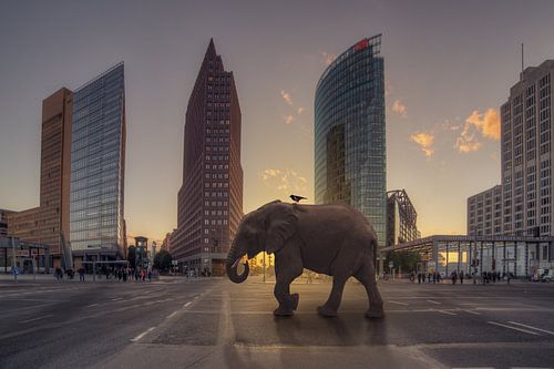 Olifant op de Potsdamer Platz
