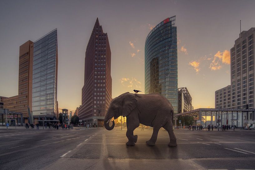 Elefant am Potsdamer Platz von Salke Hartung