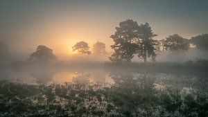 Le soleil se lève au-dessus de l'eau brumeuse
