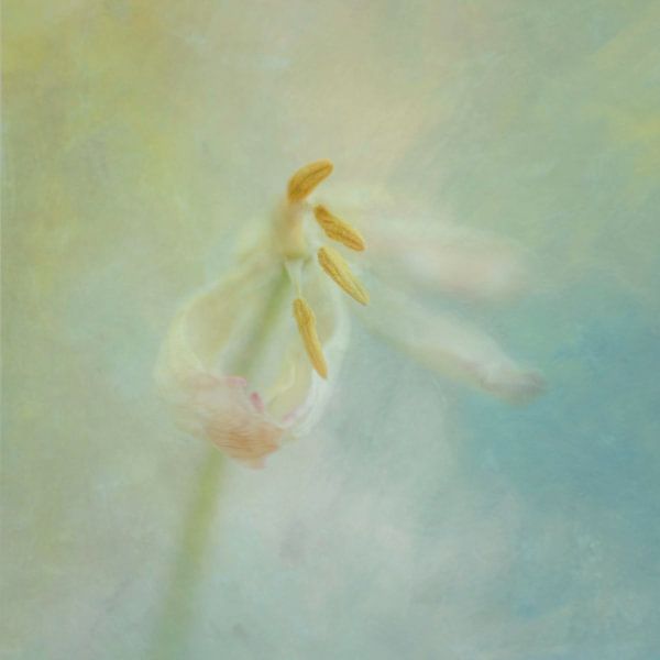Ethereal by The Art Of Vili