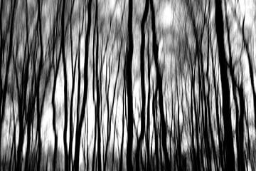 Forêt fantôme en noir et blanc sur Tineke Koen