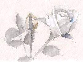 Mixed media painting of a Rose by Studio Pieternel