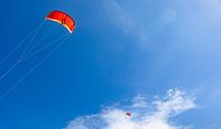 Kites in the air 3 by Percy's fotografie thumbnail