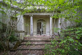 Decayed Love by Frans Nijland