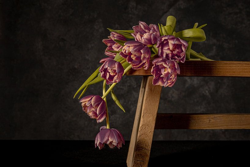 The forgotten tulips by Peter Abbes