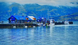 Haventje van Roy IJpelaar