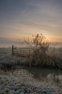 Clôture dans la prairie sur Moetwil en van Dijk - Fotografie