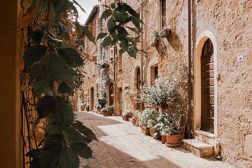 Straßenansicht Pienza | Reisefotografie Druck | Toskana Italien