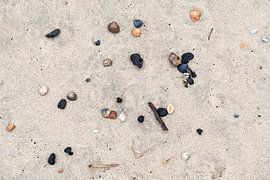 Treasures of the sea: shells in the sand by Joy Mennings
