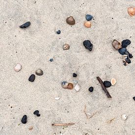 Schätze des Meeres: Muscheln im Sand von Joy Mennings