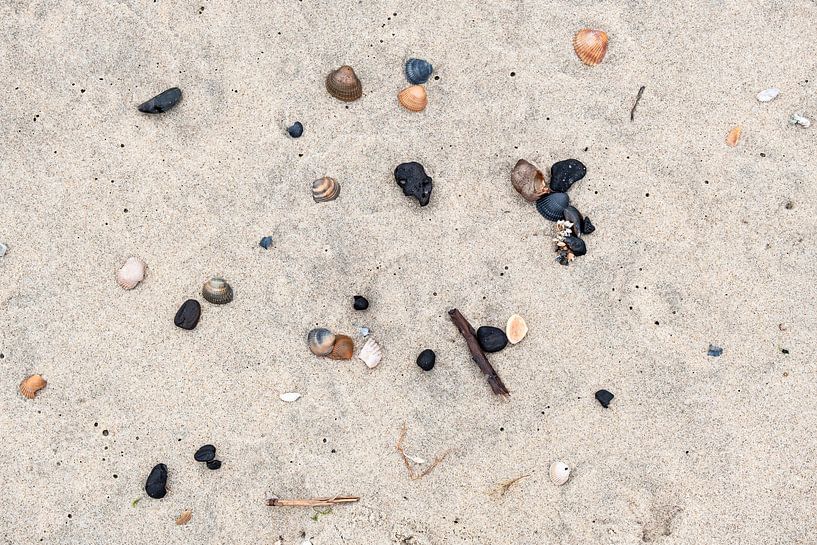 Schatten van de zee: schelpen in het zand van Joy Mennings