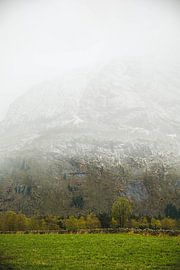 Misty morning by Jan Medema