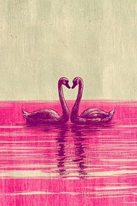 Cygnes d'amour roses