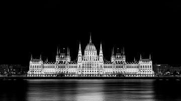 Das ungarische Parlament in Budapest an der Donau von Roland Brack