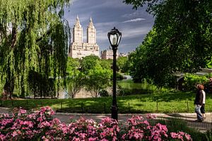 Central Park New York by Kurt Krause