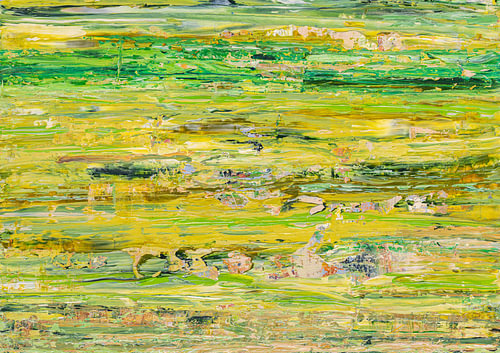 A meadow on Texel in summer.