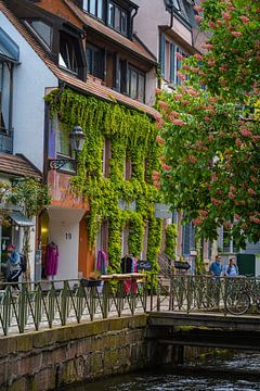 Gerberau, Freiburg (Deutschland) von Goos den Biesen