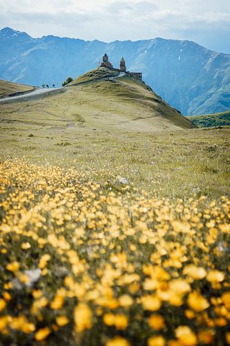 Een zee aan bloemen die naar een prachtig klooster leidt in de Kaukasus bergen van Georgie