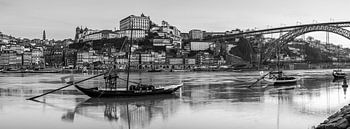Black-and-white panorama in Porto, Portugal