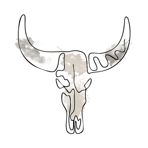 Lijntekening van een Stier Schedel met Waterverf